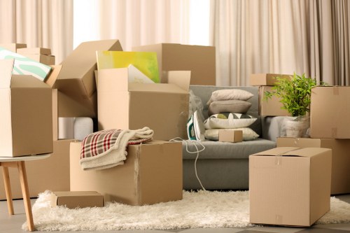 Packing supplies and labelled boxes prepared for a house move